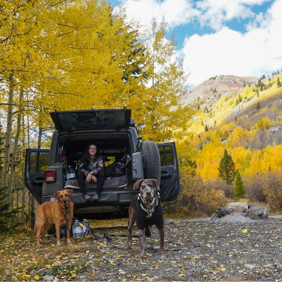 Meet your Posher, Jordyn - Picture 1 of 1